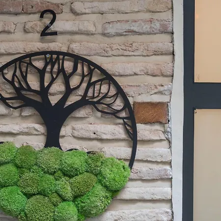 Luxury Olivos De San Gines *